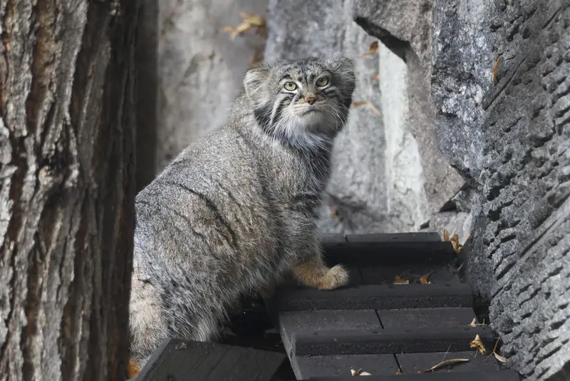 A photograph of Timofey in Moscow zoo