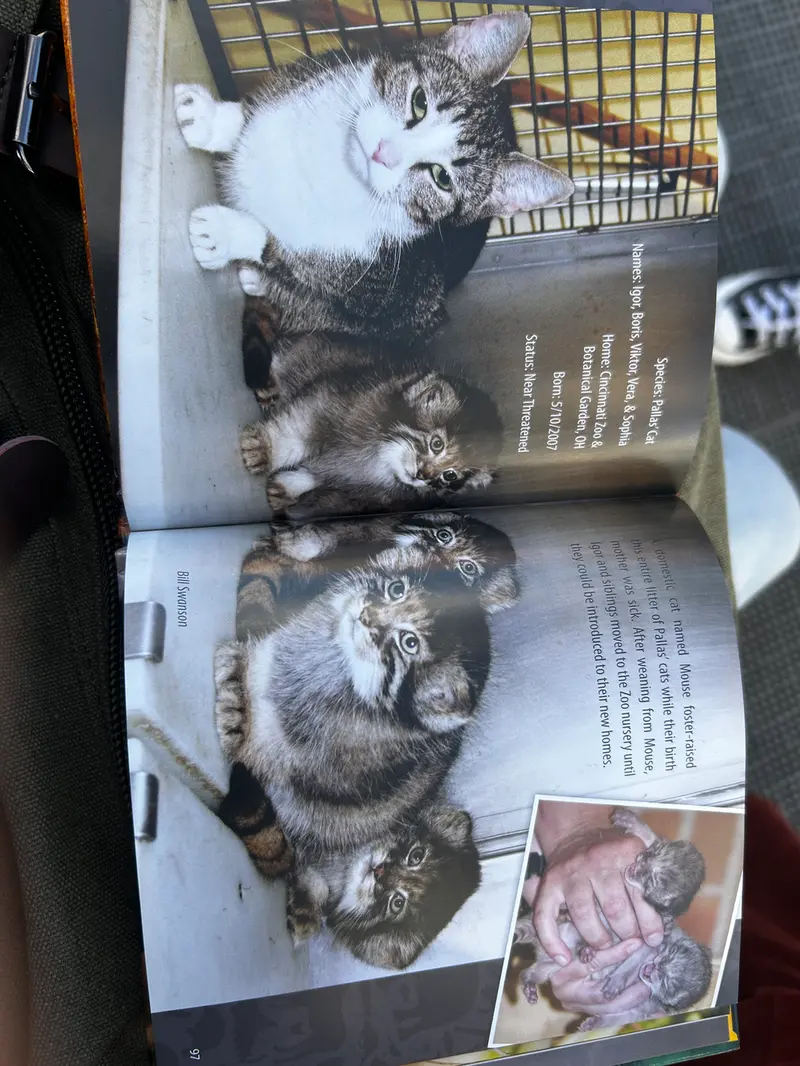 I found a book with manuls in the thrift and…