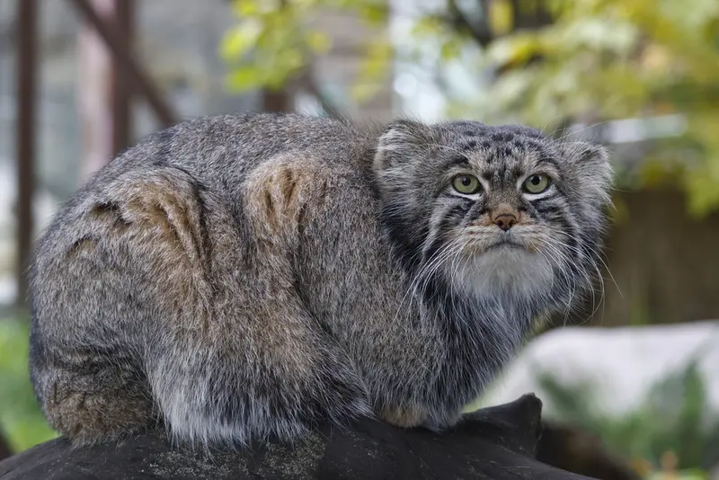 A photograph of Timofey in Moscow zoo