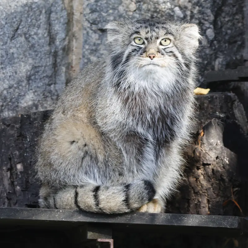 A photograph of Timofey in Moscow zoo