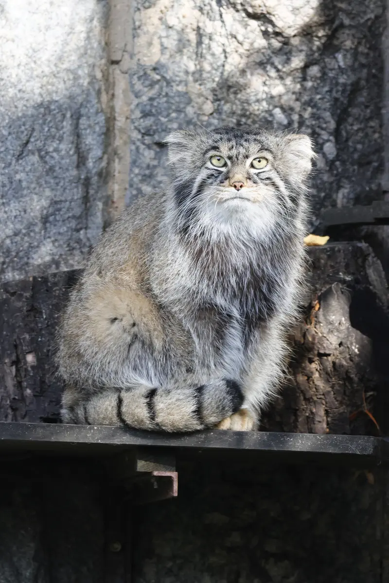 A photograph of Timofey in Moscow zoo