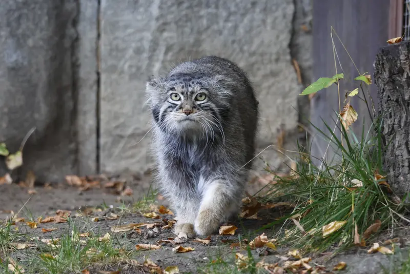 A photograph of Timofey in Moscow zoo