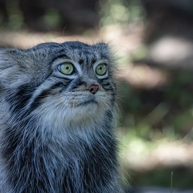 A photograph of Timofey in Moscow zoo