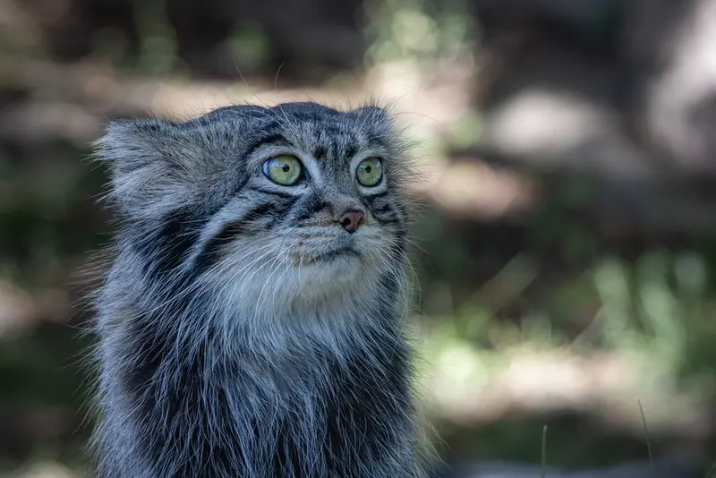 A photograph of Timofey in Moscow zoo