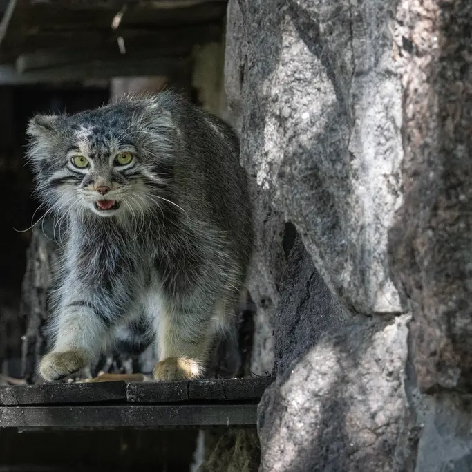 A photograph of Timofey in Moscow zoo