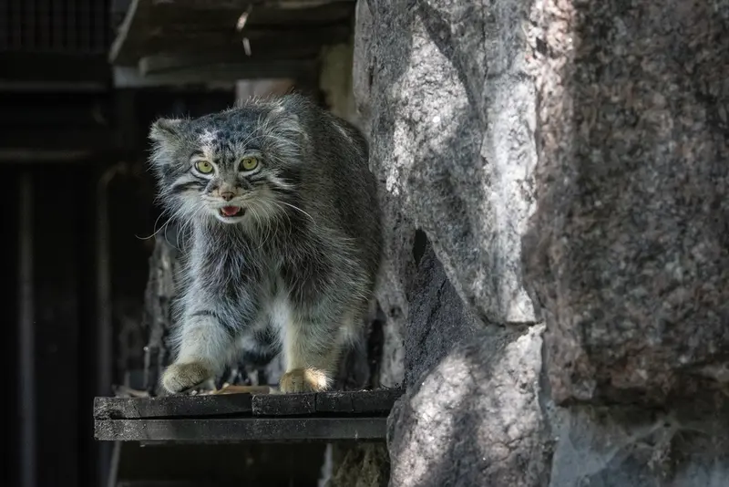 A photograph of Timofey in Moscow zoo