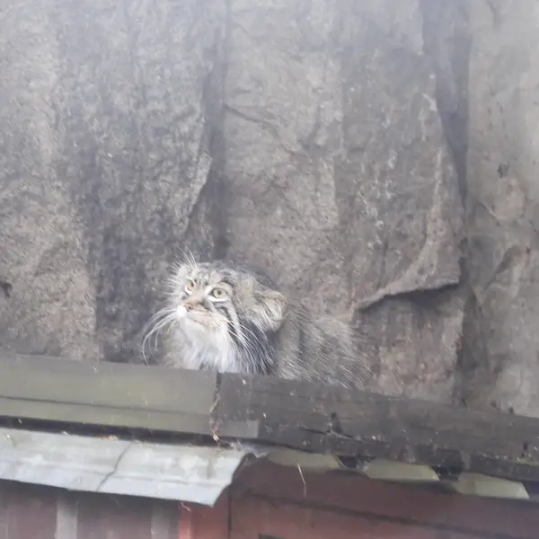 A photograph of Timofey in Moscow zoo