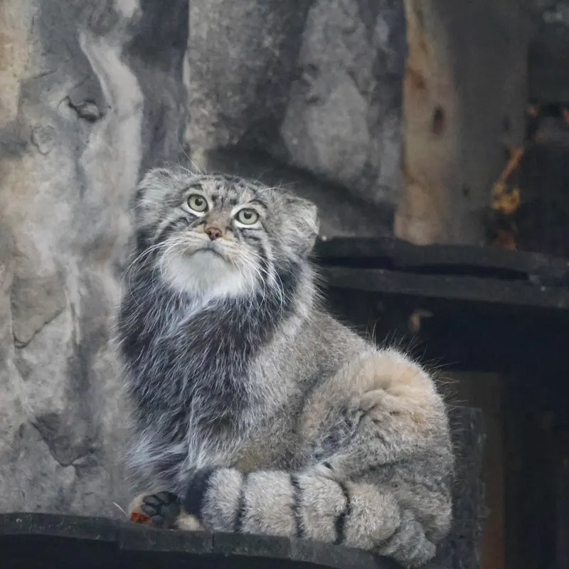 A photograph of Timofey in Moscow zoo