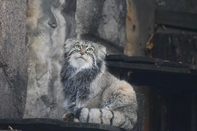 A photograph of Timofey in Moscow zoo