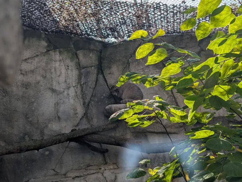 A photograph of Tiina in Columbus Zoo and Aquarium