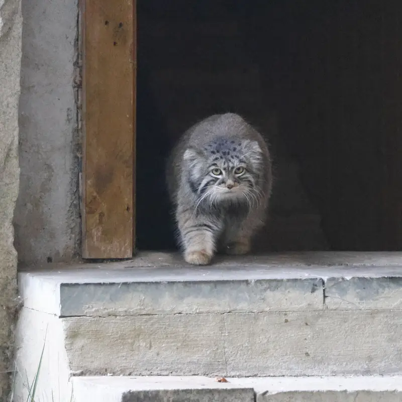 A photograph of Timofey in Moscow zoo