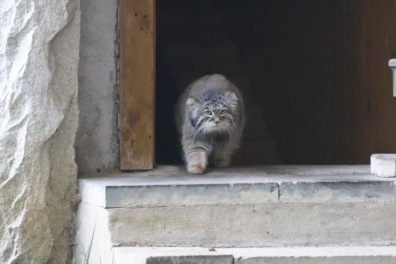 A photograph of Timofey in Moscow zoo
