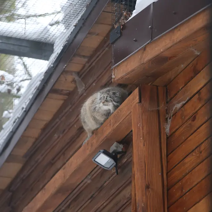 A photograph of Ula in Gdansk Zoo