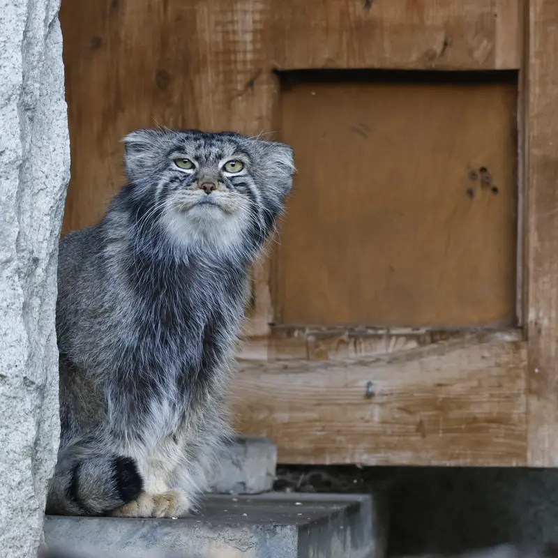 A photograph of Timofey in Moscow zoo