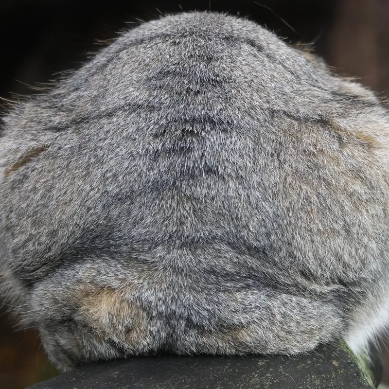 A photograph of Timofey in Moscow zoo