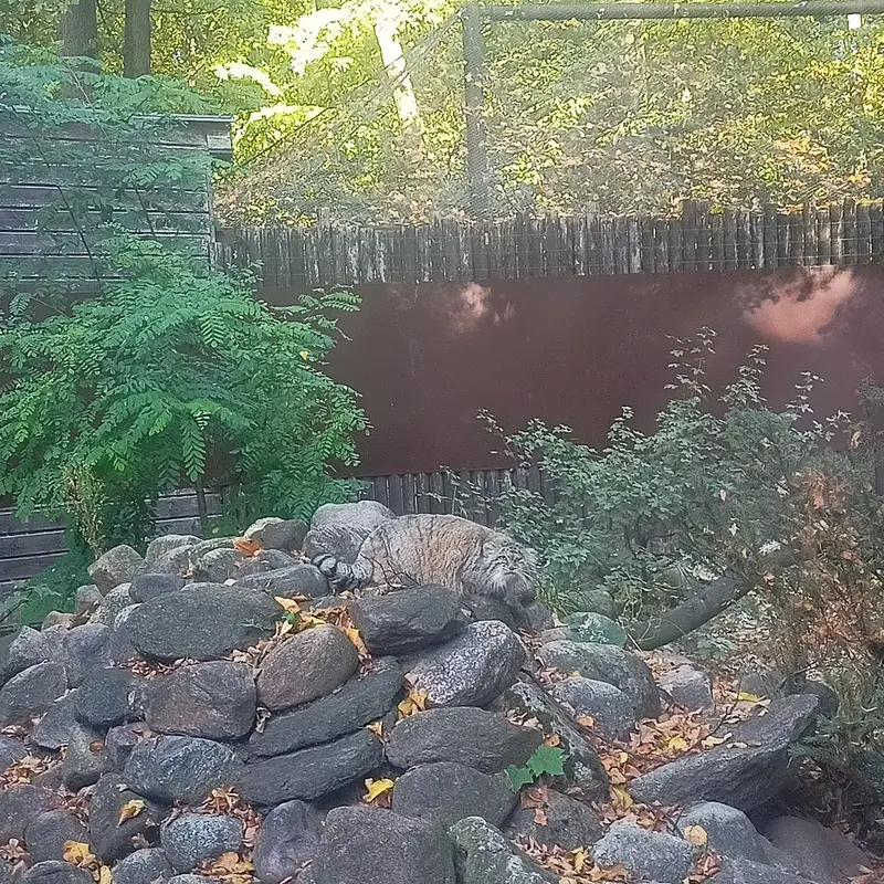 A photograph of Bozenka in Poznan New Zoo