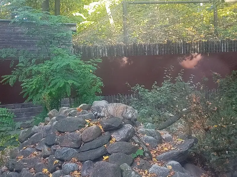 A photograph of Bozenka in Poznan New Zoo