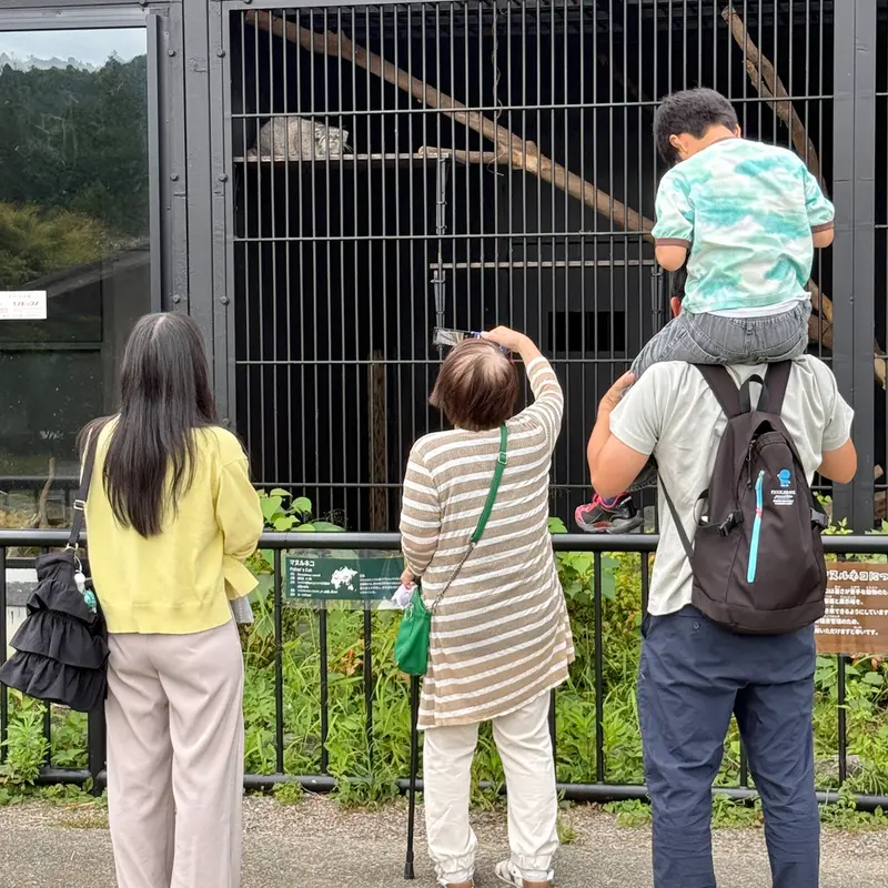A photograph of Mei in Gokatsuraike Animal Park