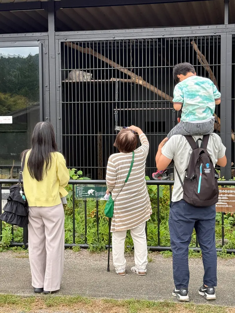 A photograph of Mei in Gokatsuraike Animal Park