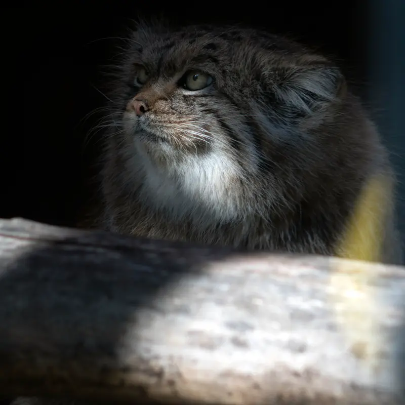 A photograph of Melissa in Lithuanian Zoo