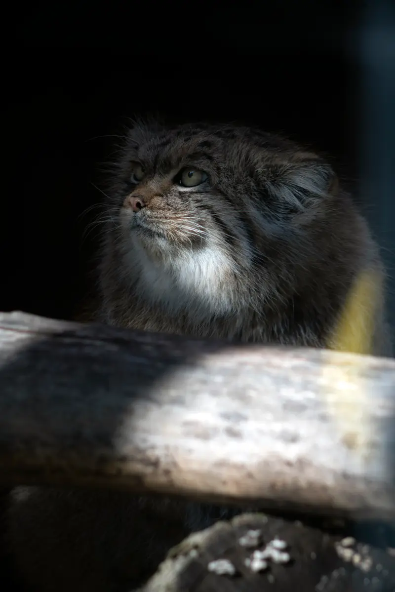 A photograph of Melissa in Lithuanian Zoo