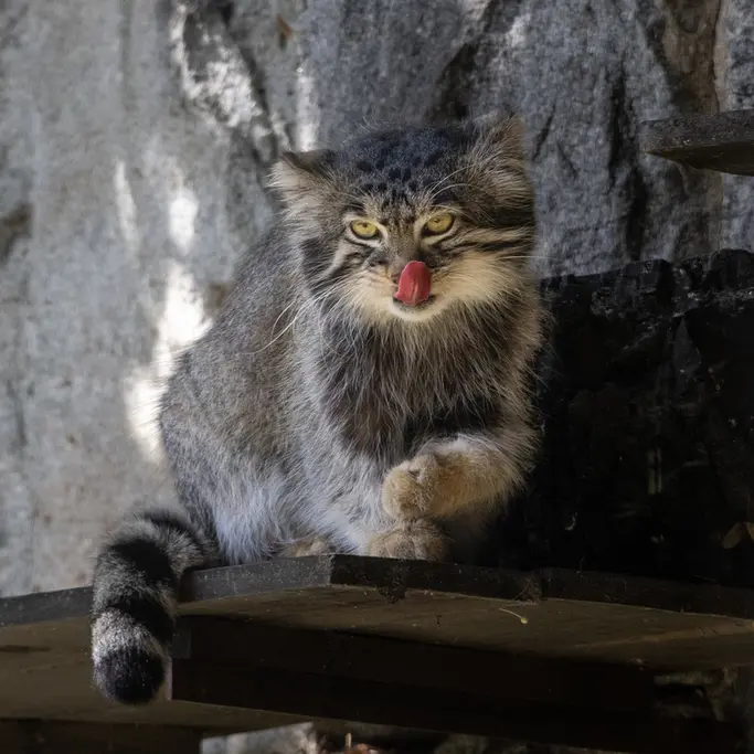 A photograph of Timofey in Moscow zoo