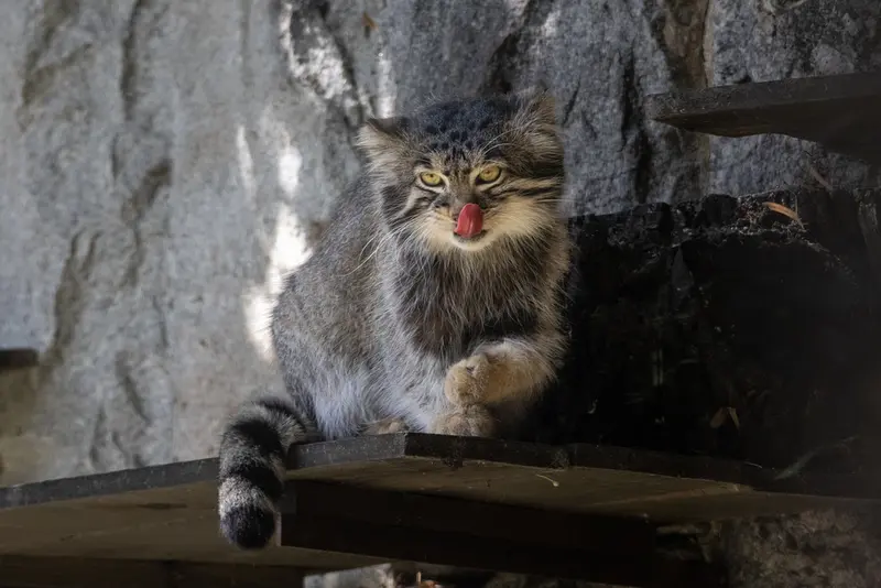 A photograph of Timofey in Moscow zoo