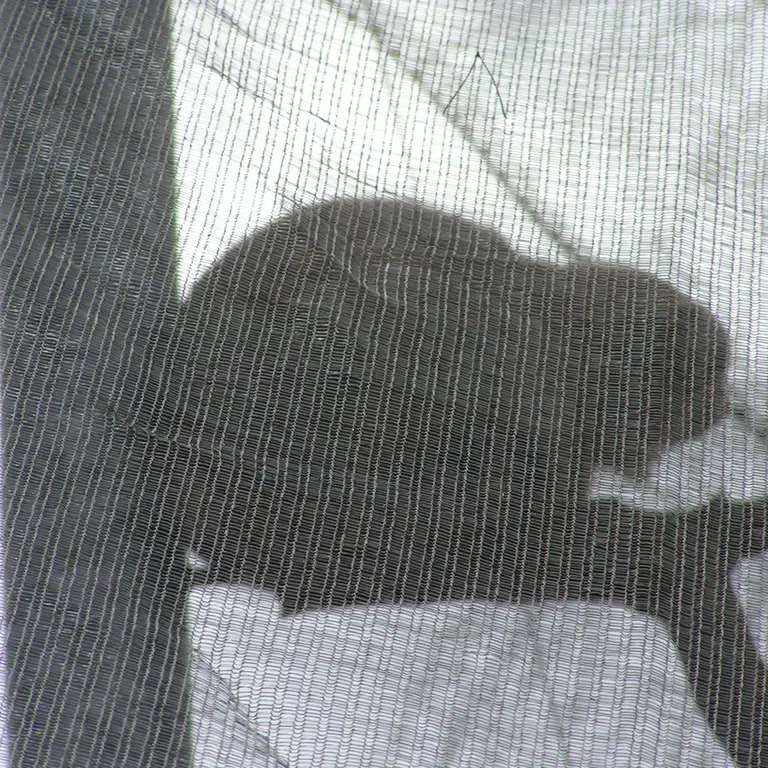 A photograph of Bat-Erdene in The Lakeland Wildlife Oasis