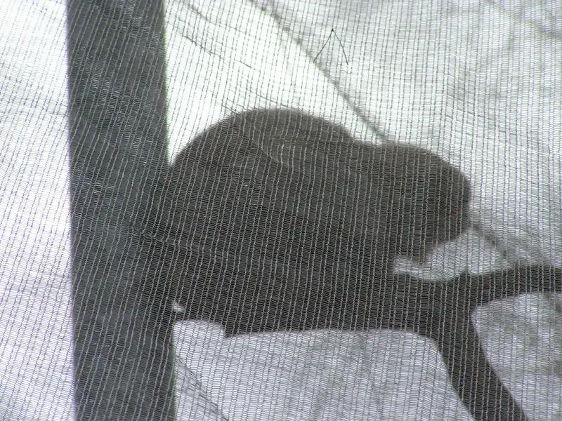 A photograph of Bat-Erdene in The Lakeland Wildlife Oasis