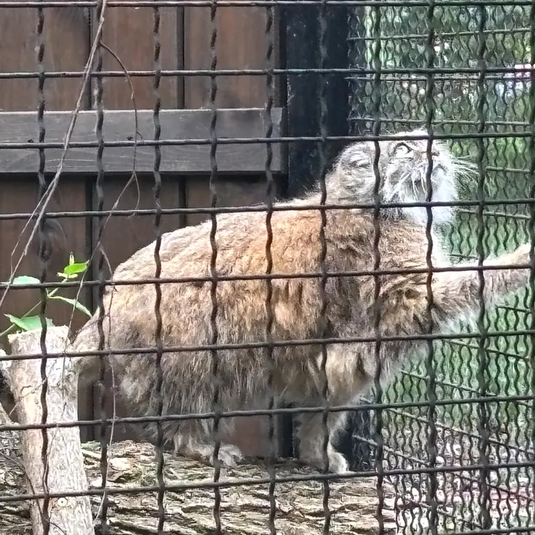 A photograph of Jessie in Warsaw Zoo