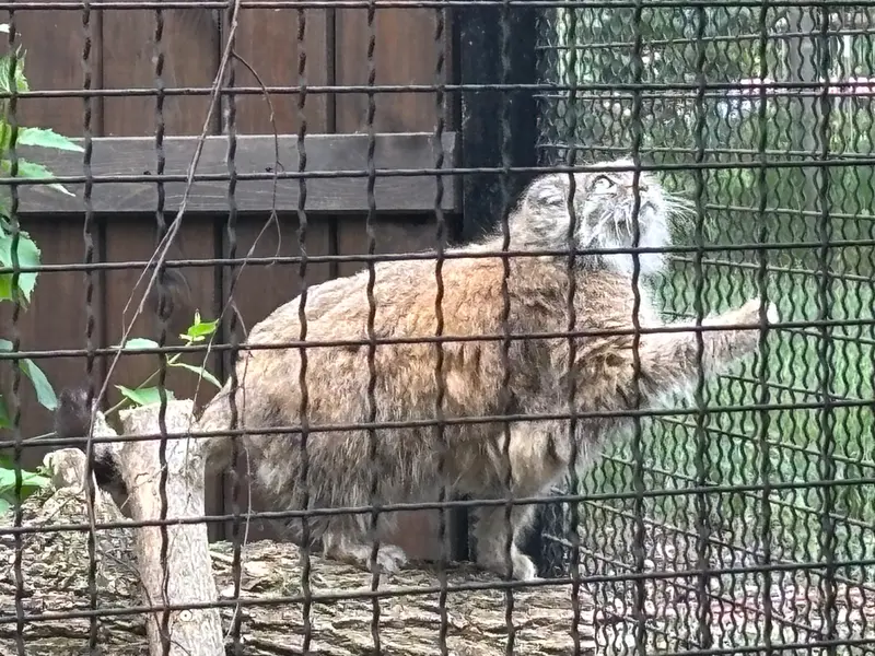 A photograph of Jessie in Warsaw Zoo