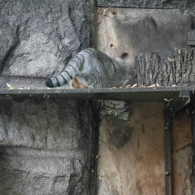 A photograph of Timofey in Moscow zoo