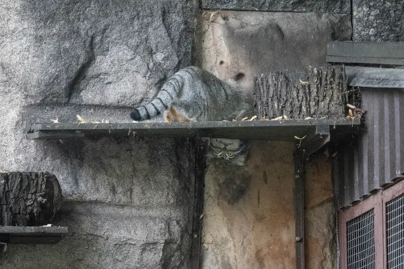 A photograph of Timofey in Novosibirsk Zoo