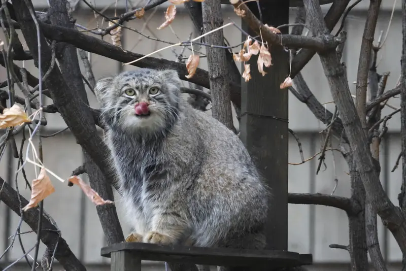A photograph of Timofey in Moscow zoo
