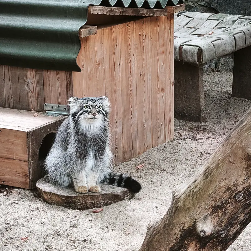 A photograph of Anya in Novosibirsk Zoo