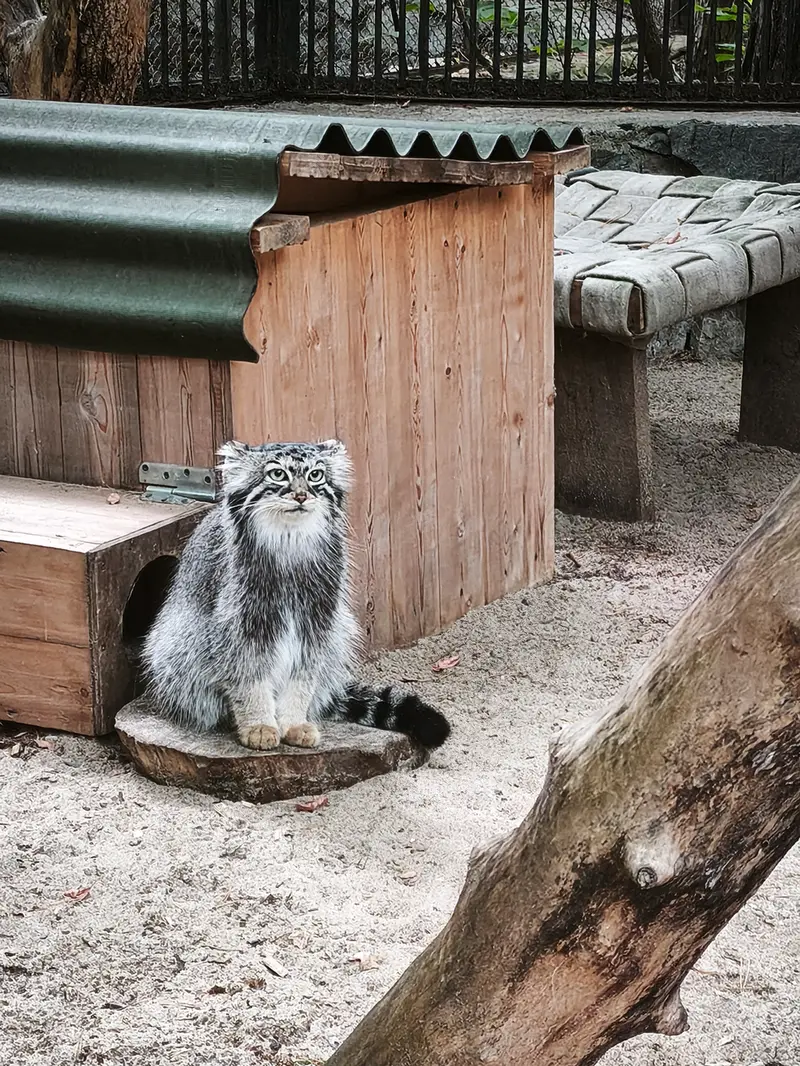 A photograph of Anya in Novosibirsk Zoo