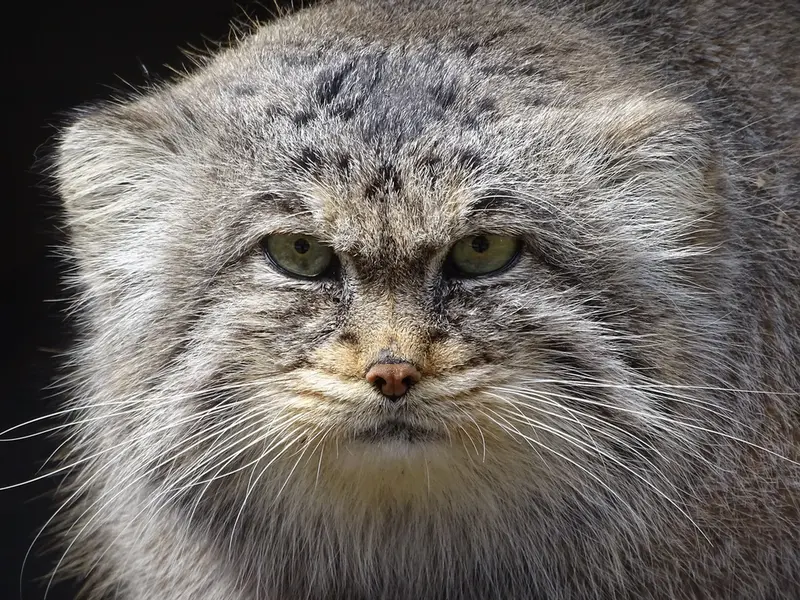 A photograph of Bjorn in Riga Zoo