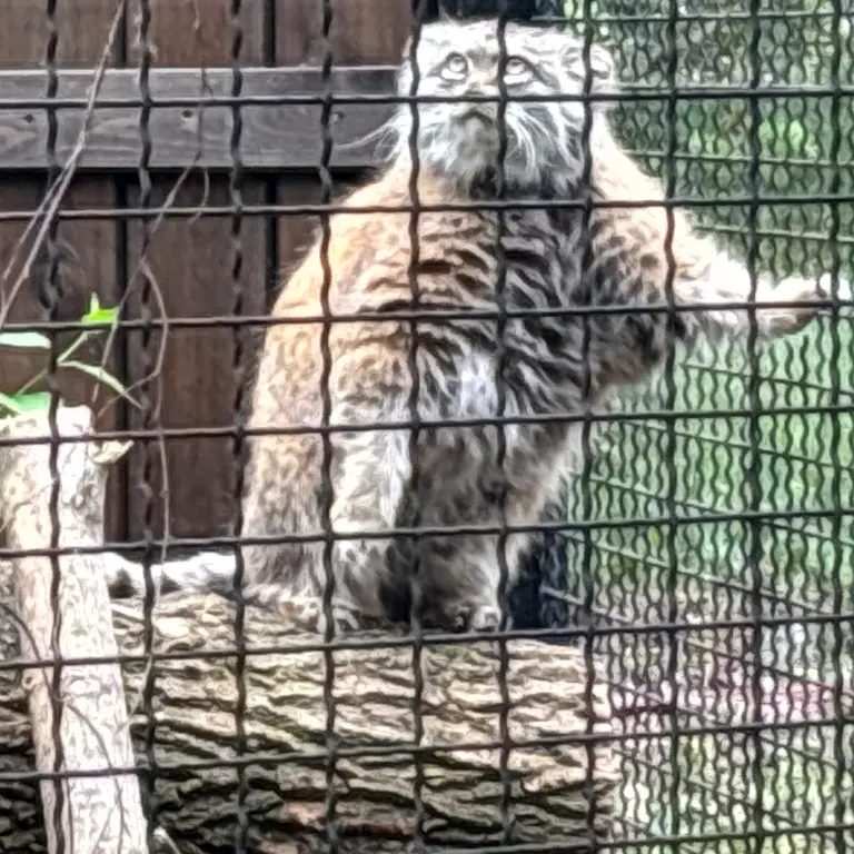 A photograph of Jessie in Warsaw Zoo