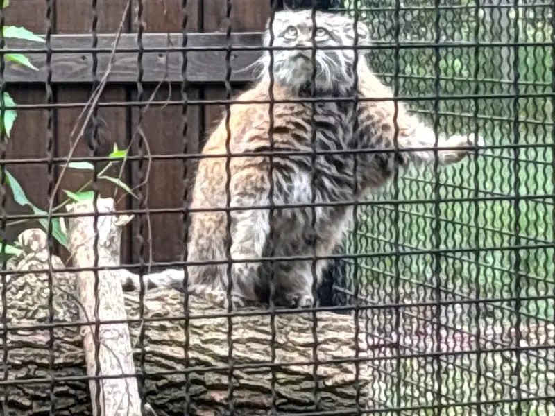 A photograph of Jessie in Warsaw Zoo