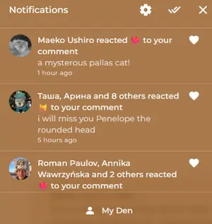 NOTIFICATIONS!!!!