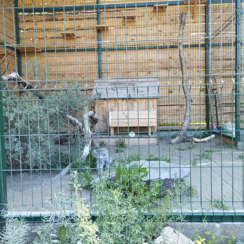 A photograph of Pepe in Barnaul zoo “Lesnaya skazka”