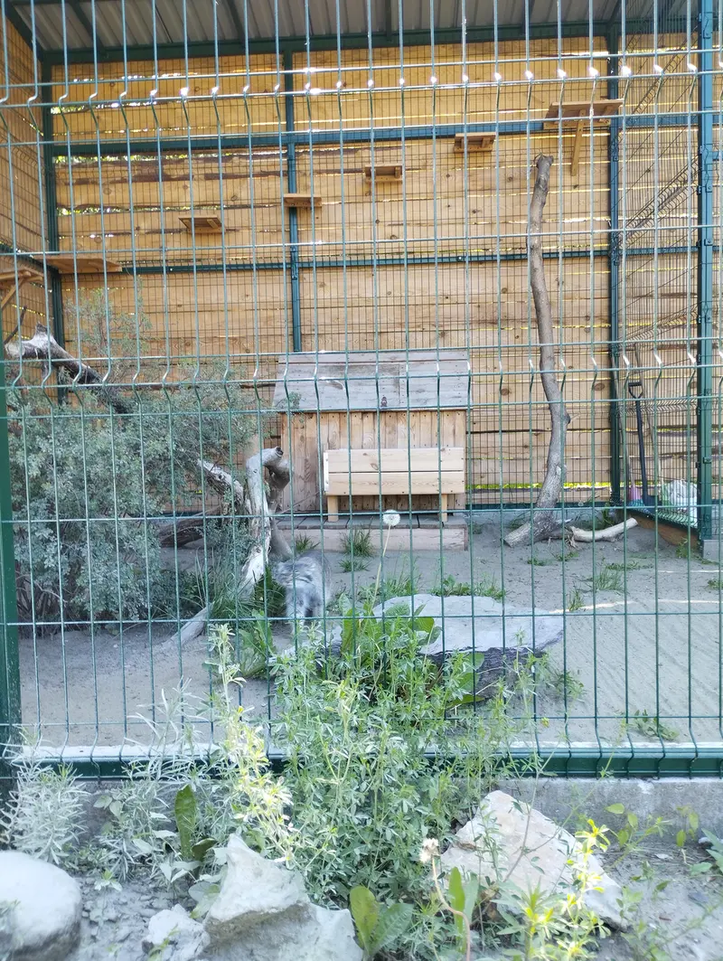 A photograph of Pepe in Barnaul zoo “Lesnaya skazka”