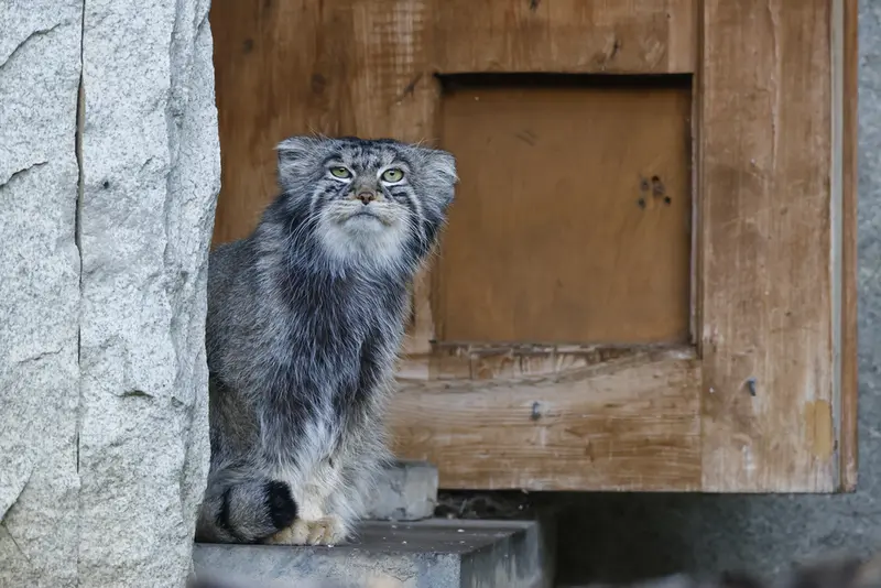 A photograph of Timofey in Moscow zoo