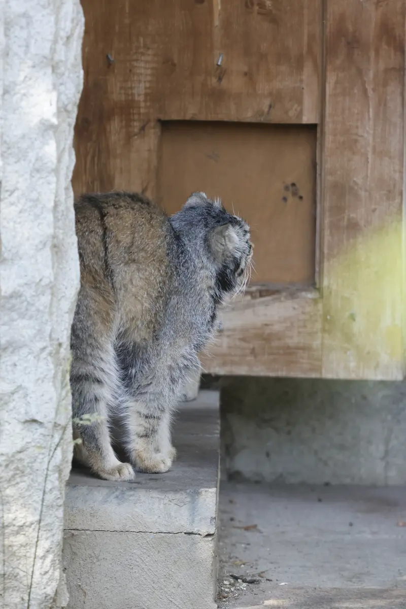 A photograph of Timofey in Moscow zoo