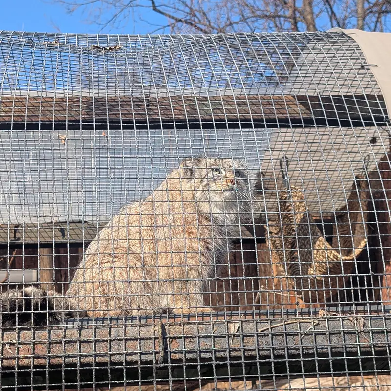 A photograph of Pepe in Leningrad zoo