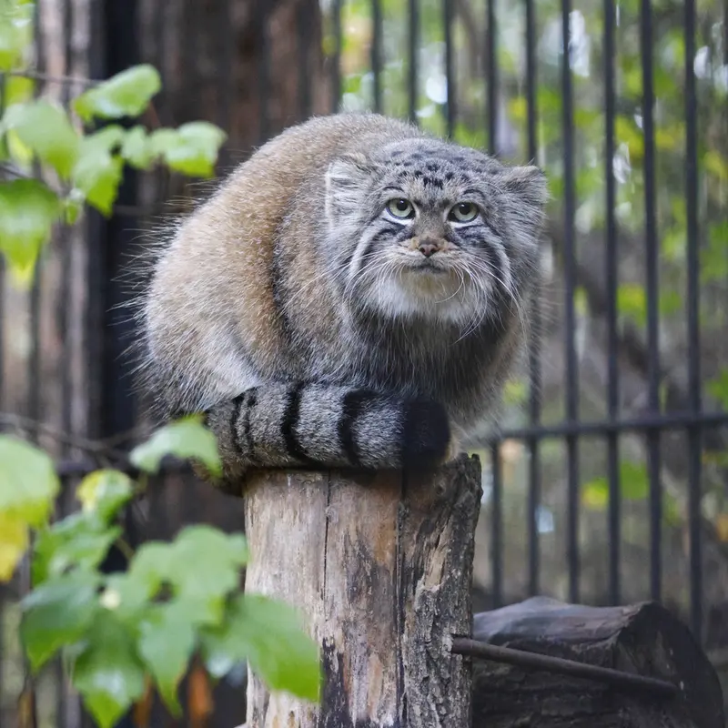 A photograph of Anya in Novosibirsk Zoo
