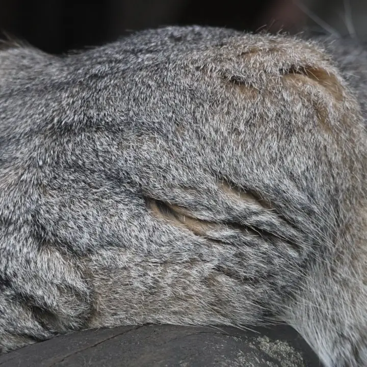 A photograph of Timofey in Moscow zoo