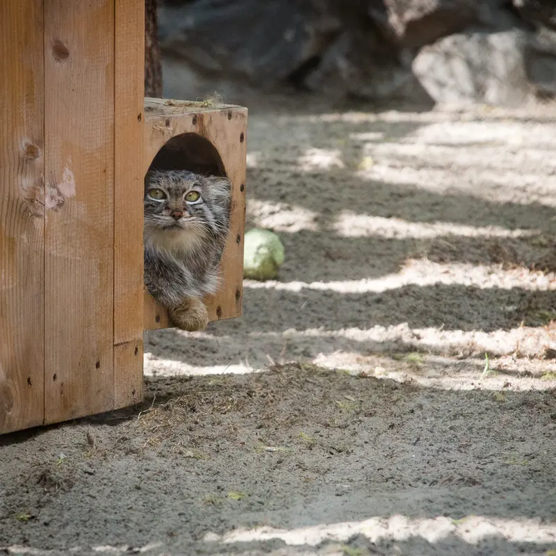 A photograph of Snezhana in Novosibirsk Zoo