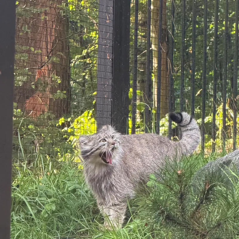 A photograph of Manuel in Gdansk Zoo