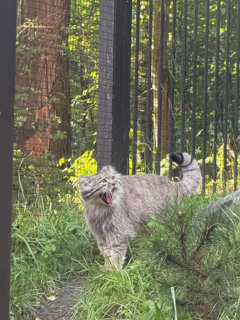 A photograph of Manuel in Gdansk Zoo